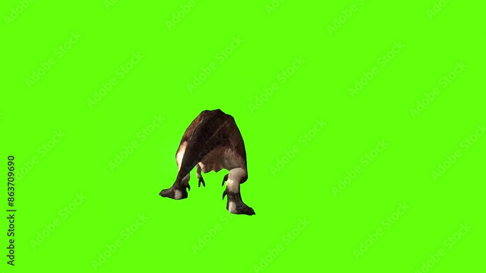T-rex dinosaur run front stop green screen animation 3D rendering T-rex dinosaur run front stop green screen animation 3D rendering