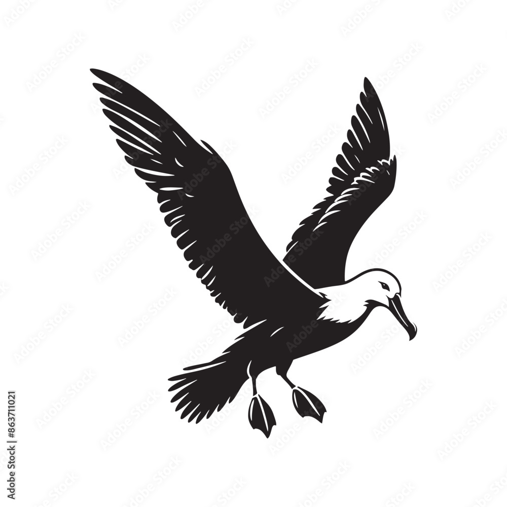 Obraz premium Albatross bird silhouette - albatross illustration - albatross black vector 