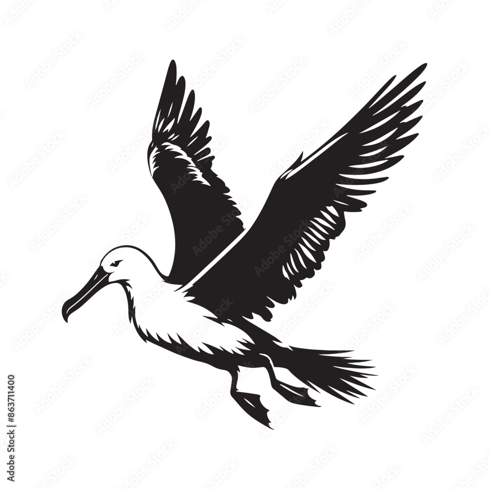 Obraz premium Albatross silhouette - albatross illustration - albatross black vector 