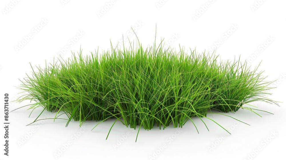 Grass isolated on white background. Illustration generatd by ai Grass isolated on white background. Illustration generatd by ai