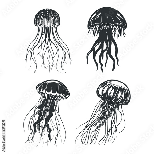 Jelly Fish Clipart