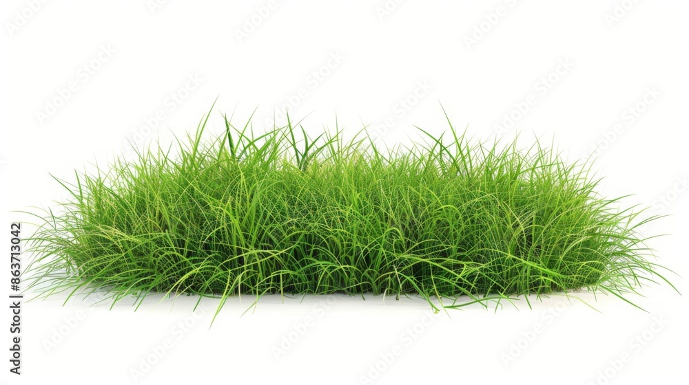 Grass isolated on white background. Illustration generatd by ai Grass isolated on white background. Illustration generatd by ai