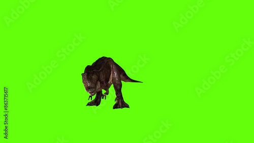 T-rex dinosaur run head butt right  green screen animation 3D rendering photo