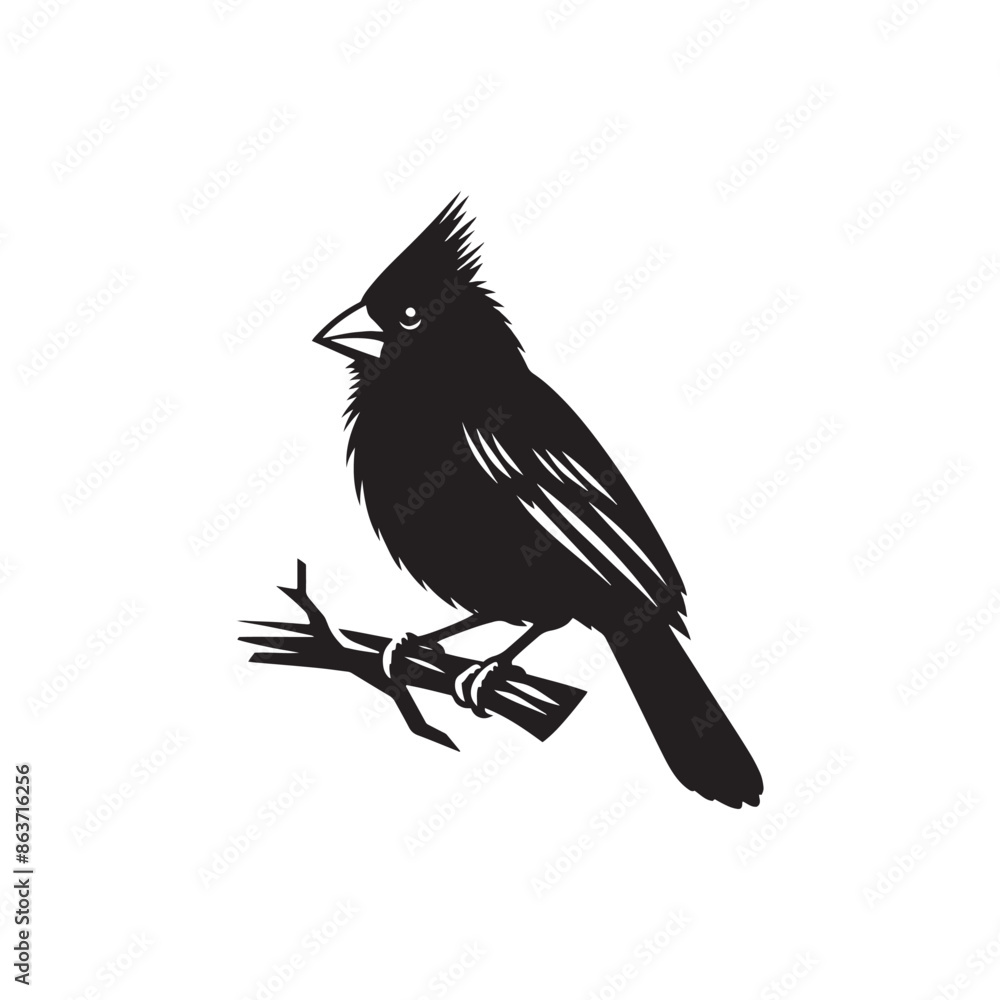 Obraz premium Cardinal vector silhouette - cardinal illustration - cardinal black vector 