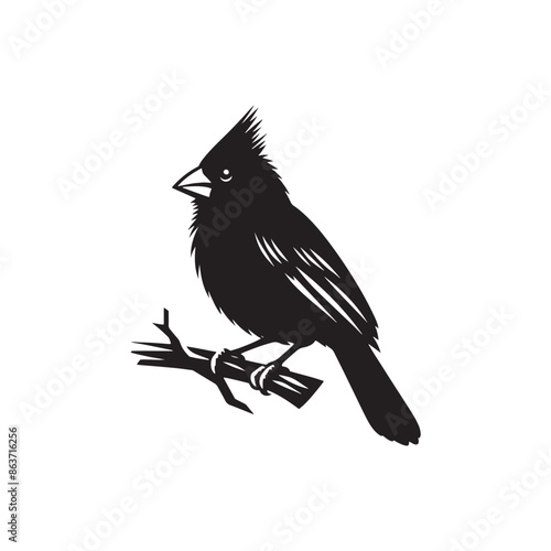 Cardinal vector silhouette - cardinal illustration - cardinal black vector
