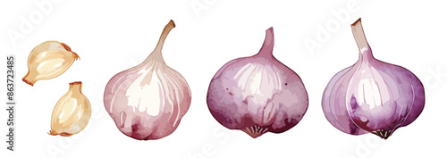水彩で描いたニンニクのイラスト Generative AI