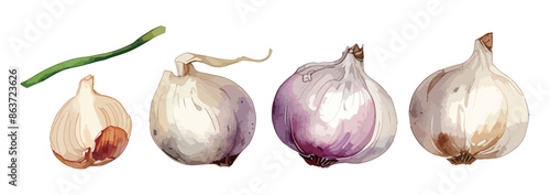 水彩で描いたニンニクのイラスト Generative AI