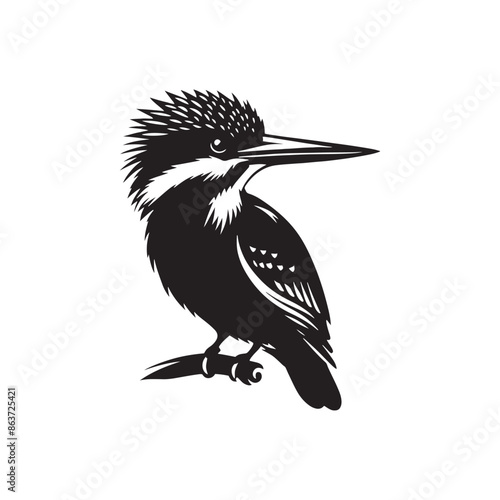 Detailed kingfisher silhouette shape - kingfisher illustration - kingfisher black vector
