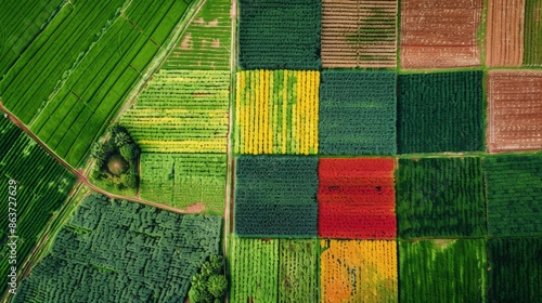 View from above of colorful fields where grain crops are grown, crops of rectangular, square and other shapes, agriculture.