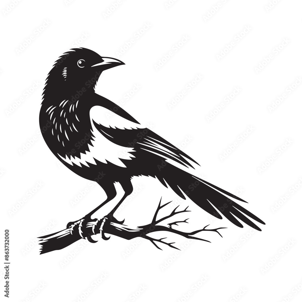 Obraz premium Magpie silhouette isolated - minimallest magpie vector 