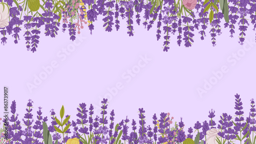 Lavender flowers frame background with purple lilac floral pattern, vector border. Provence lavender flowers frame on lilac background for wedding greeting card or garden herbs bouquet for cosmetics
