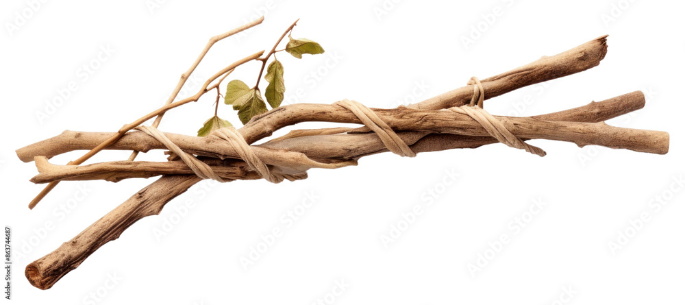 Fototapeta premium PNG Wood driftwood white background freshness.