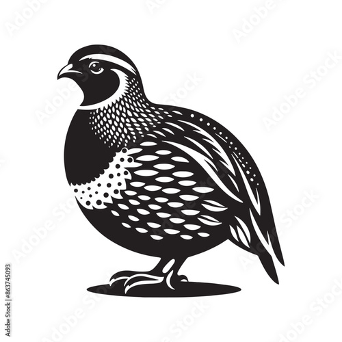 Stylish quail silhouette design - minimallest quail vector