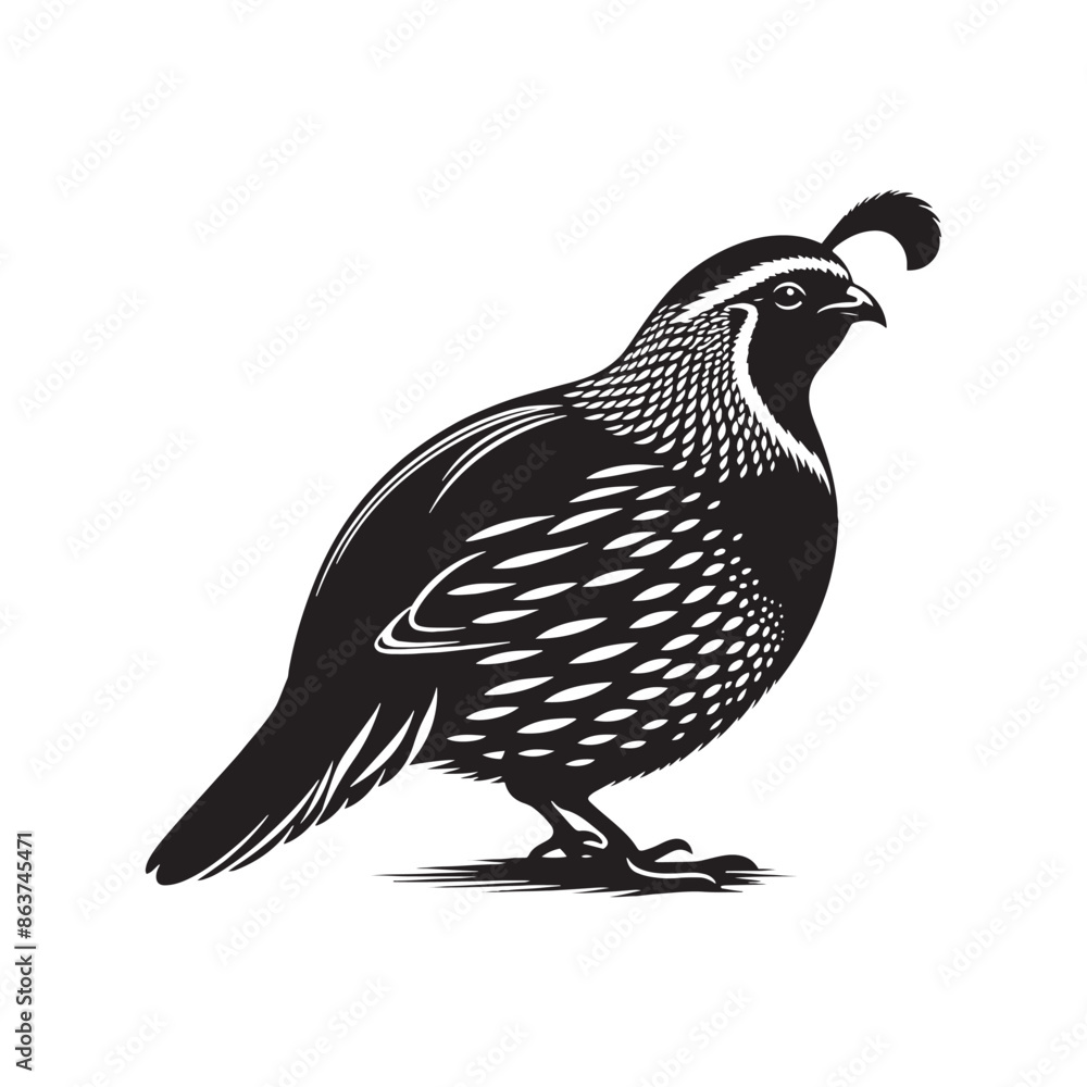 Fototapeta premium Quail black silhouette - minimallest quail vector 