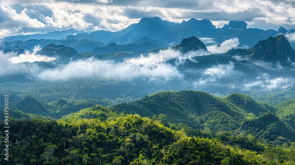 A vast panorama of a mountainous tropical jungle, with peaks and valleys covered in a carpet of green trees, visible through passing clouds. A vast panorama of a mountainous tropical jungle, with peaks and valleys covered in a carpet of green trees, visible through passing clouds.