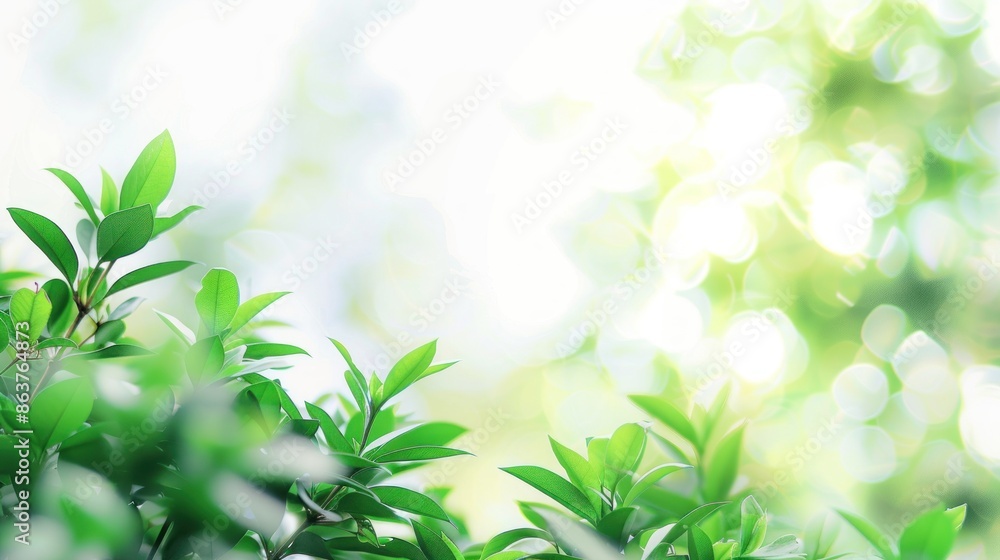 Obraz premium An abstract blurred background of green plants against a white sky with bokeh light, ideal for a minimalist