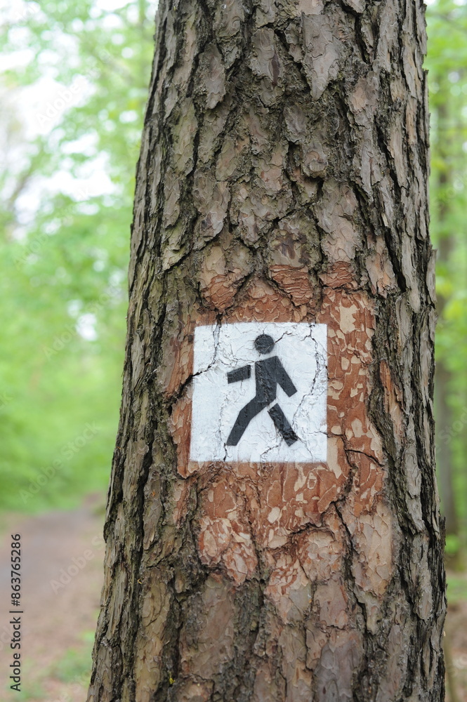 Naklejka premium Trail mark or traffic sign painted on trees showing direction for hikers on hiking trails in forest in Poland, Europe