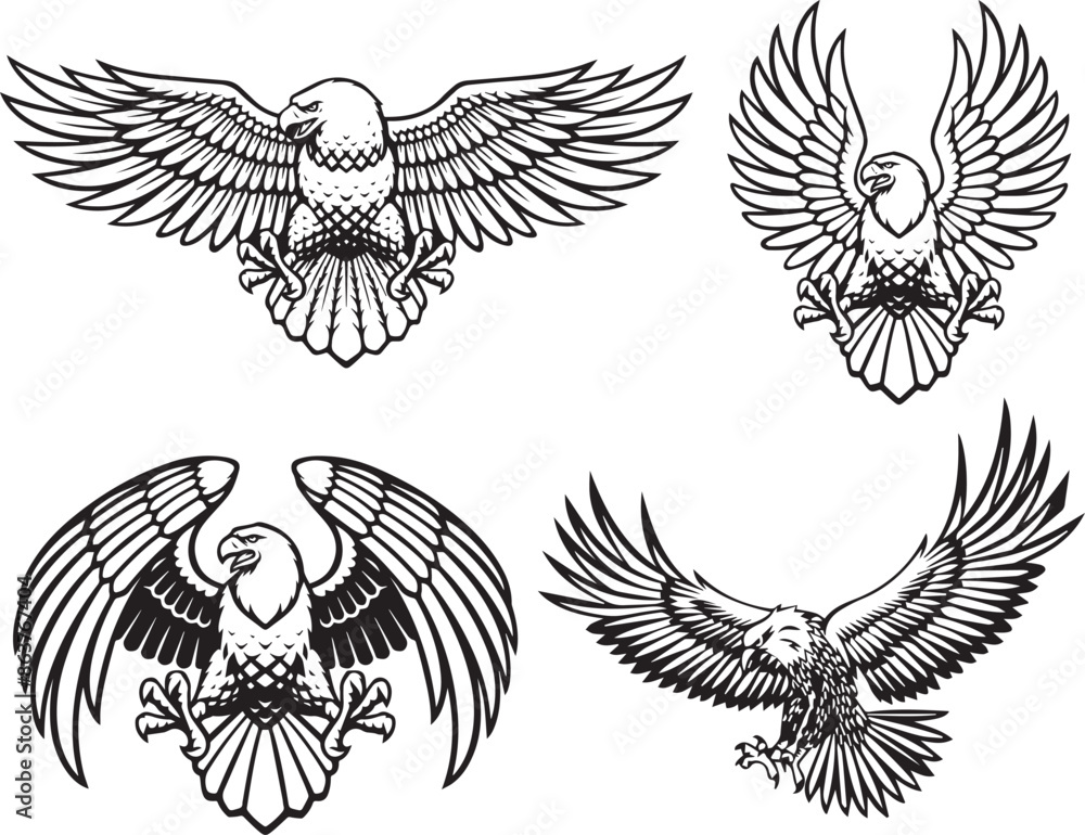 Obraz premium Flying Eagle Birds animals art graphic resources vector Element image design