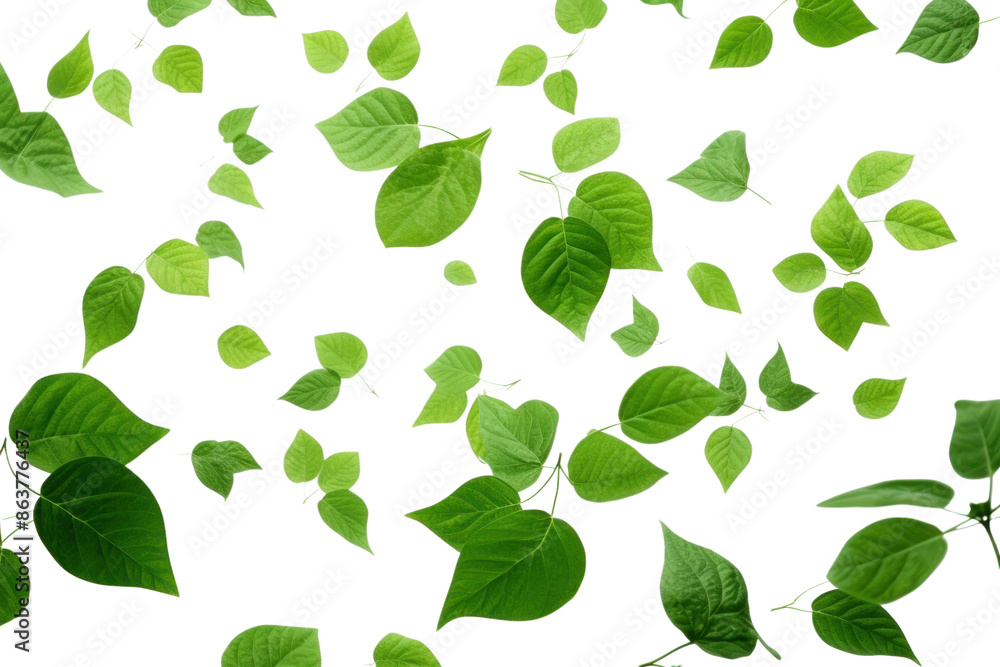 PNG Green leaves flying backgrounds plant PNG Green leaves flying backgrounds plant