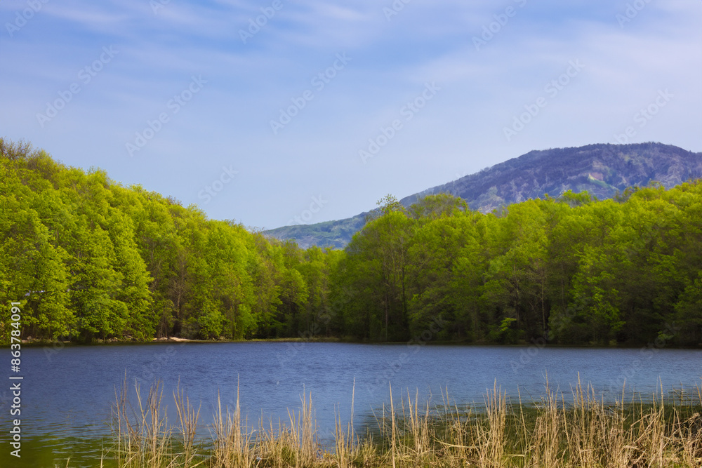 spring landscape with lake and mountain spring landscape with lake and mountain