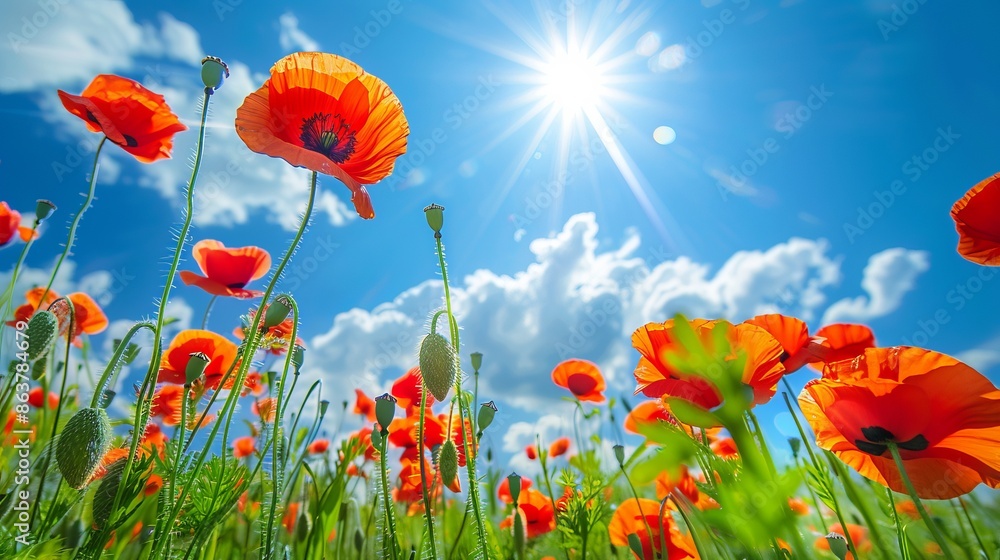 Bright red poppies in full bloom under a clear blue sky with the sun shining. Captivating summer landscape with vibrant colors. Ideal for nature, summer, or floral themes. AI Bright red poppies in full bloom under a clear blue sky with the sun shining. Captivating summer landscape with vibrant colors. Ideal for nature, summer, or floral themes. AI