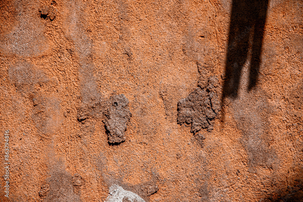 Obraz premium background, Realistic Botanical Plant Shadow on the Wall