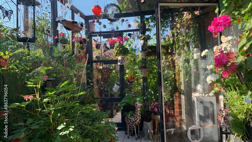 Roof top terrace, full of colourful flowers which are in full bloom.