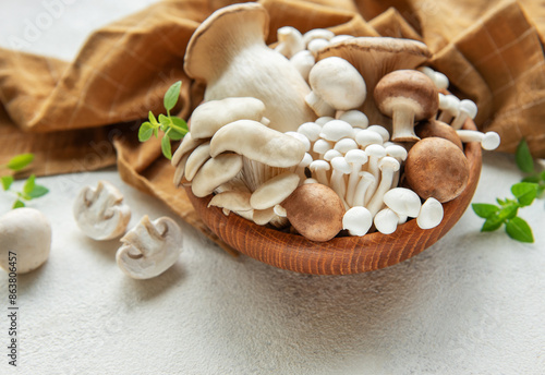 Assortment of various mushrooms