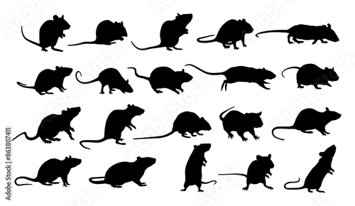 The set silhouettes of rats.