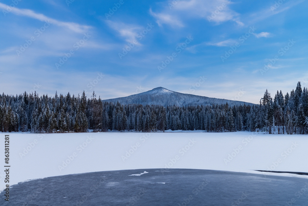 Winter Landscape