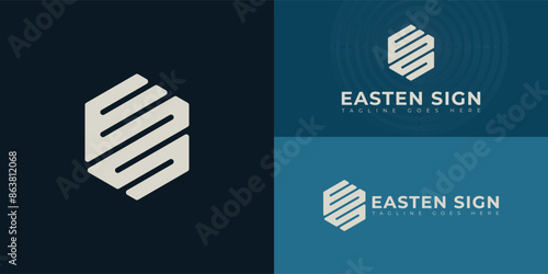 Abstract initial hexagon letters ES or SE logo in white color isolated on multiple background colors. The logo is suitable for architecture design service logo vector design illustration inspiration