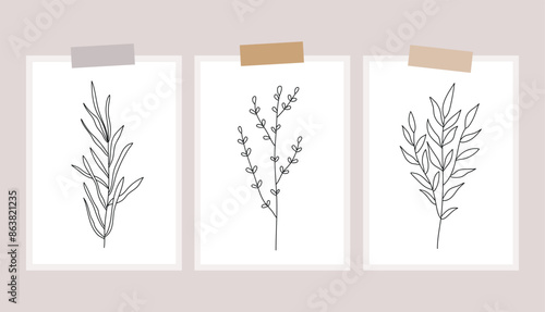 Outline plants set, line drawing art, wildflowers set, botanical plants isolated, simple art design, abstract line outline, vector for frame, fashion design
