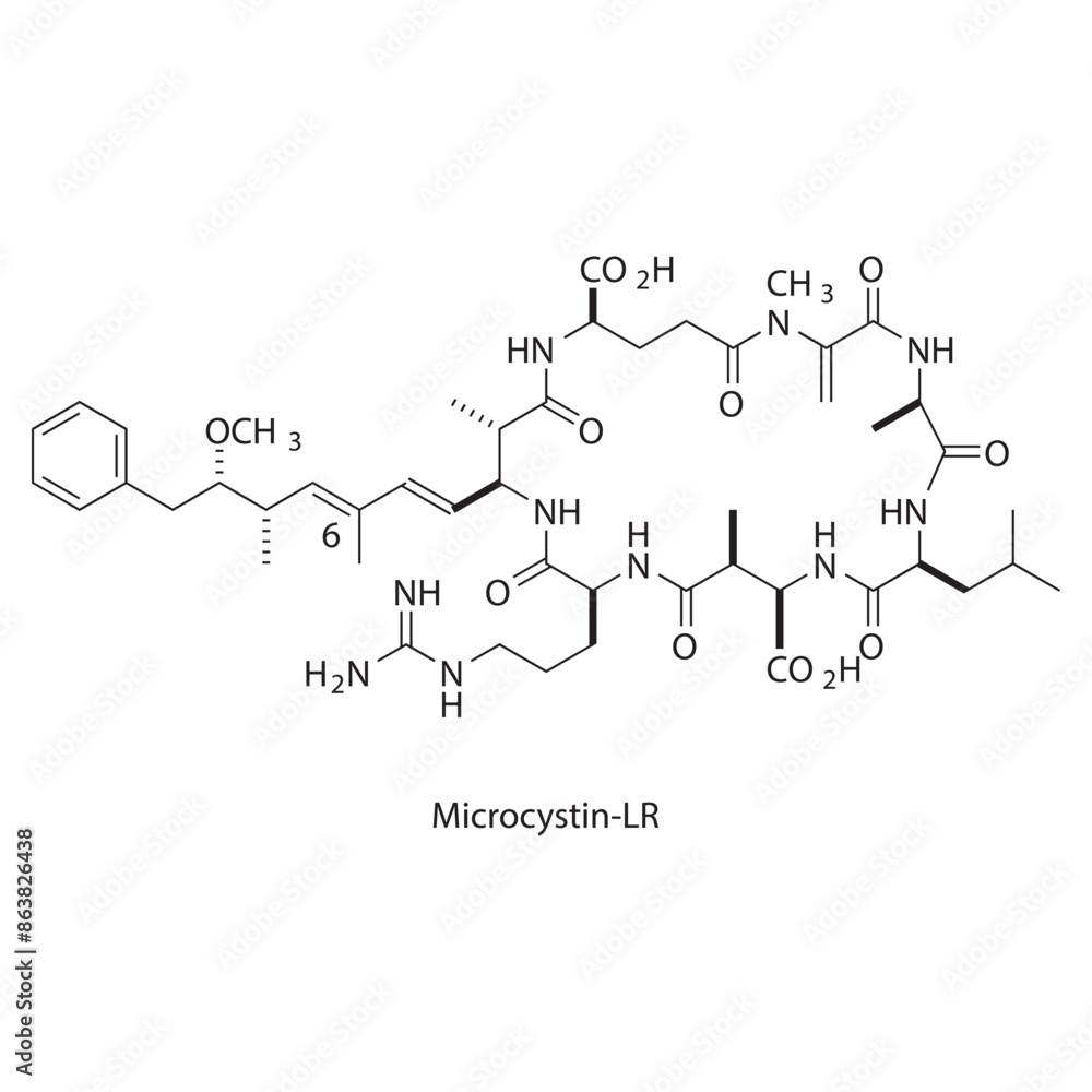Microcystin-LR skeletal structure diagram.marine toxin compound molecule scientific illustration. Microcystin-LR skeletal structure diagram.marine toxin compound molecule scientific illustration.