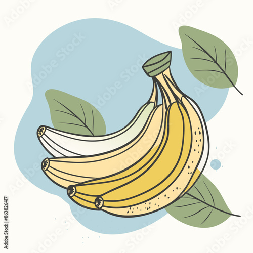 vector illustration of banana