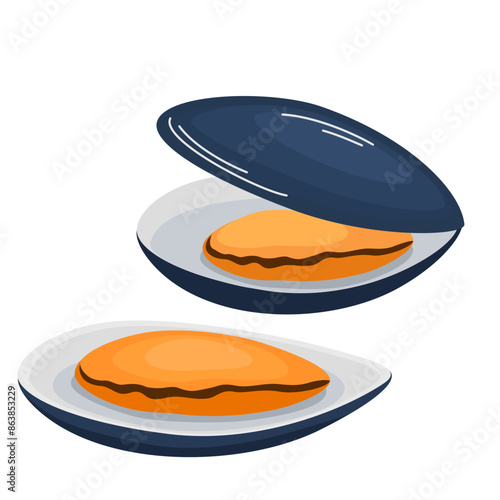 Mussels in shells. Open oysters, sea food. Clams in doodle style. Fresh mollusk, seafood delicacy. Flat vector illustration isolated on white background