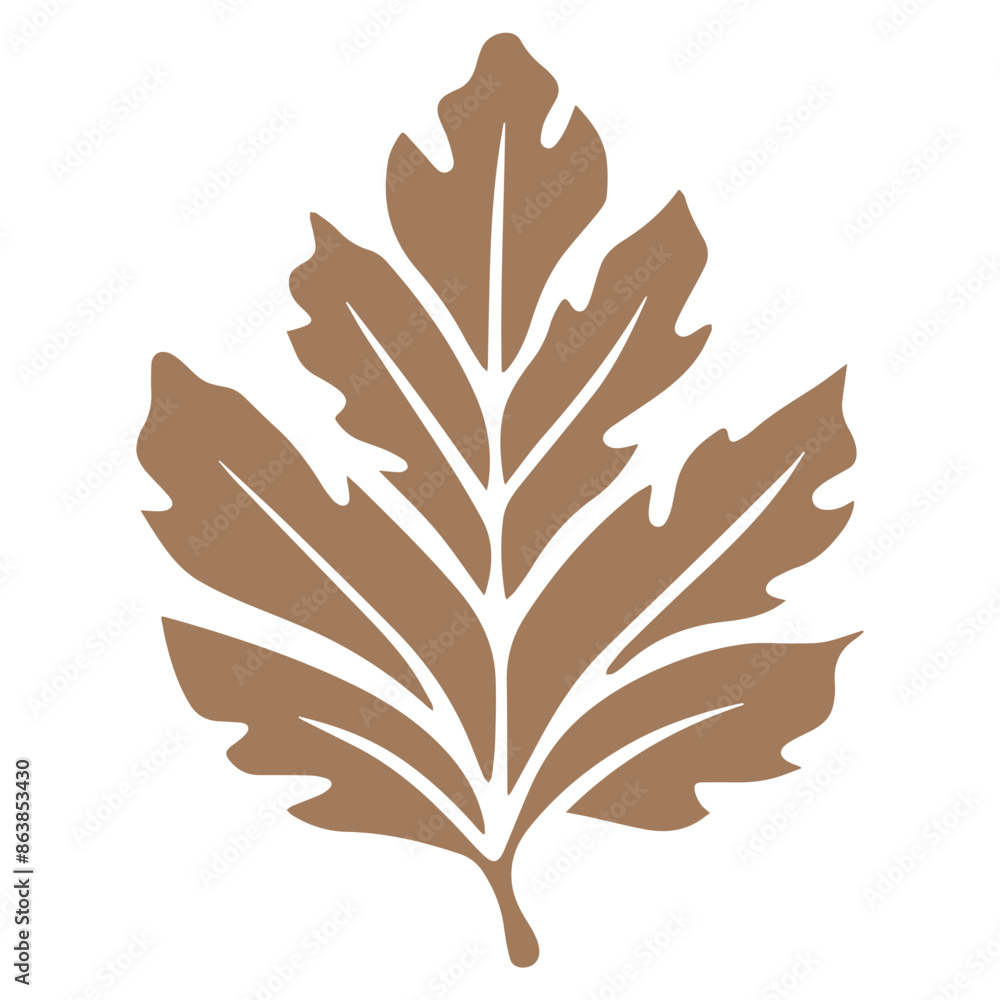 Fototapeta premium A brown leaf with a symmetrical, feathered pattern