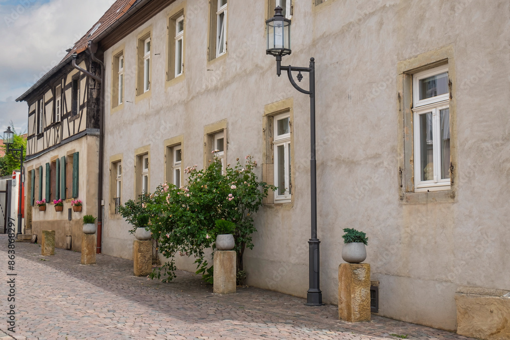 Fototapeta premium Häuserzeile in Deidesheim, Rheinland-Pfalz