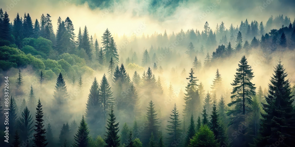 Obraz premium Misty landscape featuring a vintage fir forest in hipster retro style, mist, fog, landscape, vintage, retro, hipster