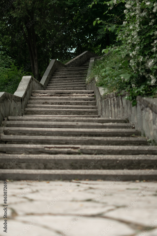 an ancient stone staircase surrounded by trees. an ancient stone staircase surrounded by trees.