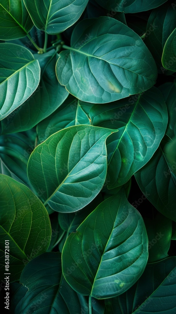 close up Plant, Leaves, Foliage image - generative ai close up Plant, Leaves, Foliage image - generative ai