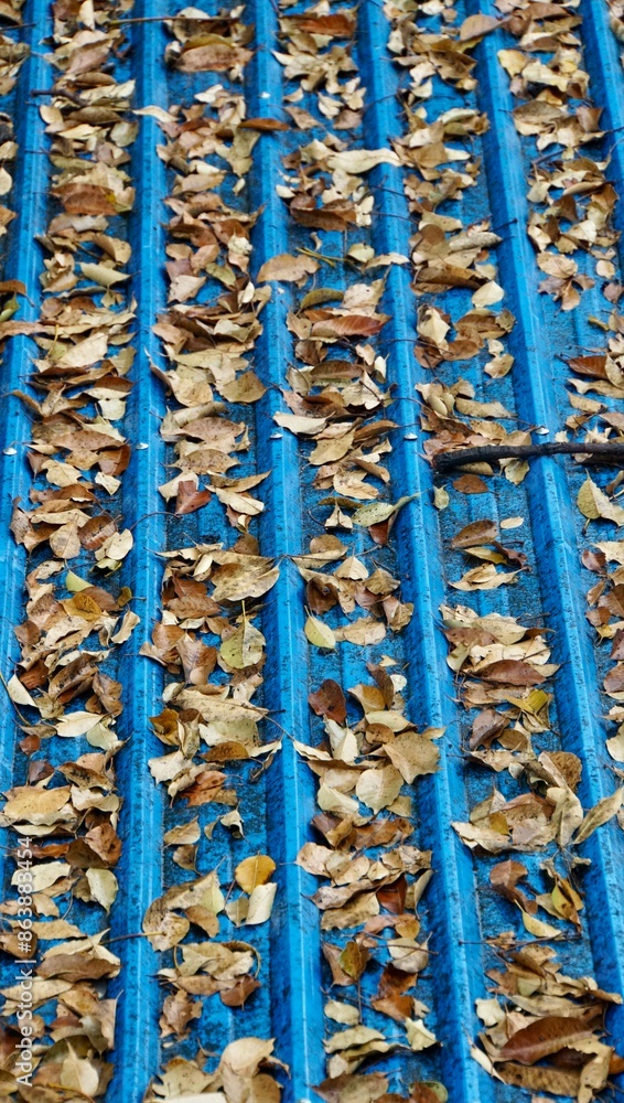 fallen leaves on a roof fallen leaves on a roof