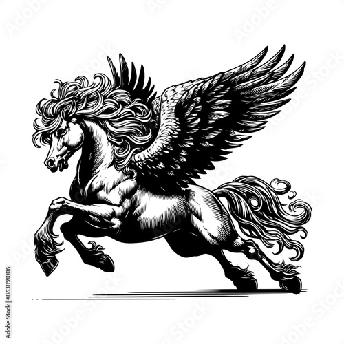 pegasus in black and white animal illustration