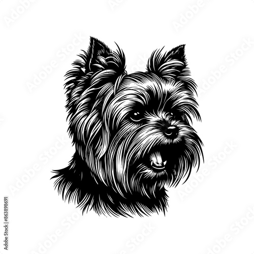 Yorkshire Terrier in black and white animal illustration