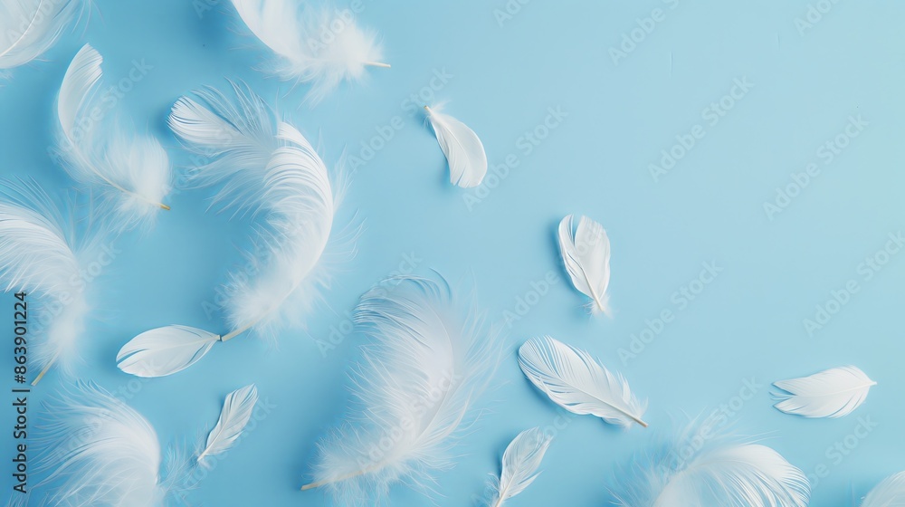 white feathers background white feathers background