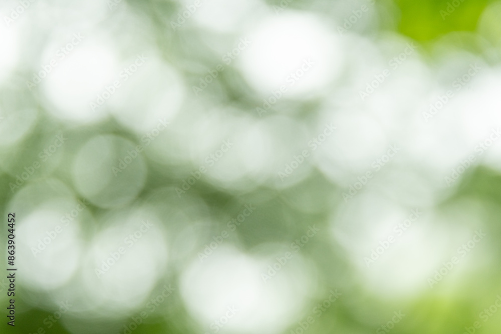 Obraz premium 新緑んぼ玉ボケ