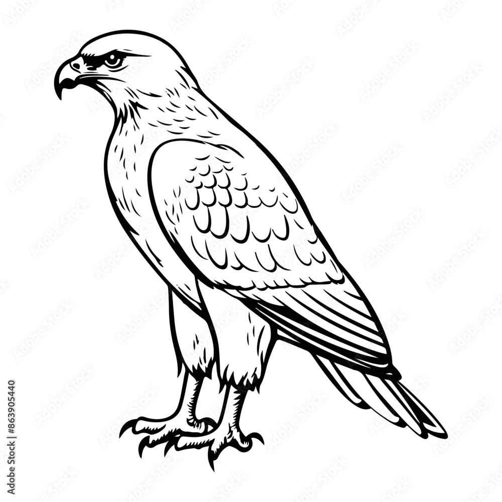 Fototapeta premium Simple flat hawk icon design, black vector illustration on white background