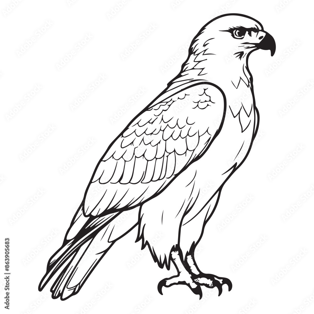 Fototapeta premium Simple flat hawk icon design, black vector illustration on white background