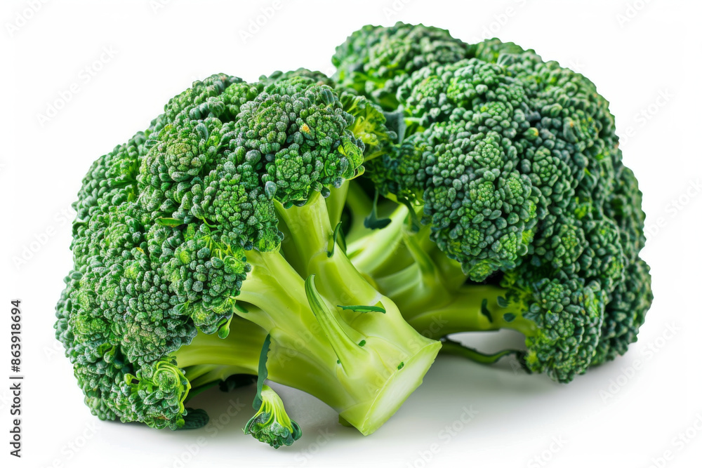 Two Fresh Broccoli Florets Isolated on White Two Fresh Broccoli Florets Isolated on White