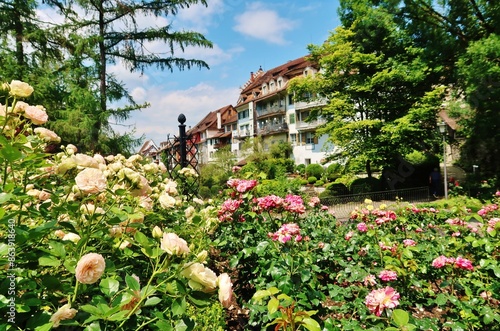 Rosenstadt Bischofszell, Thurgau, Schweiz