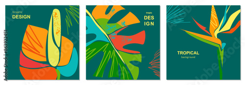 Set of summer bright cards with abstract monstera leaves and tropical flowers. Anthurium and strelitzia flowers. In a modern minimalist style. Template for ad, cover, social, poster, sales. 